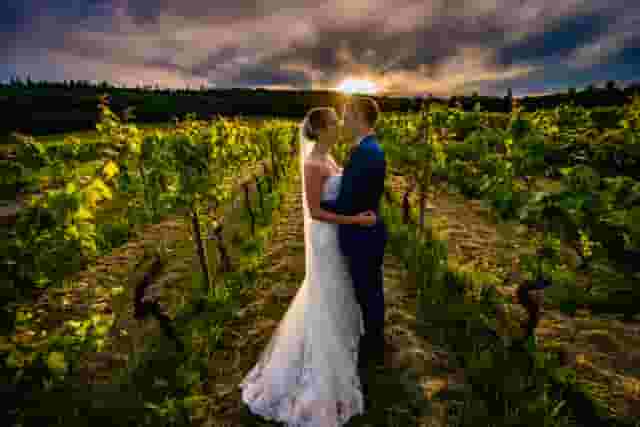 Denbies Wine Estate