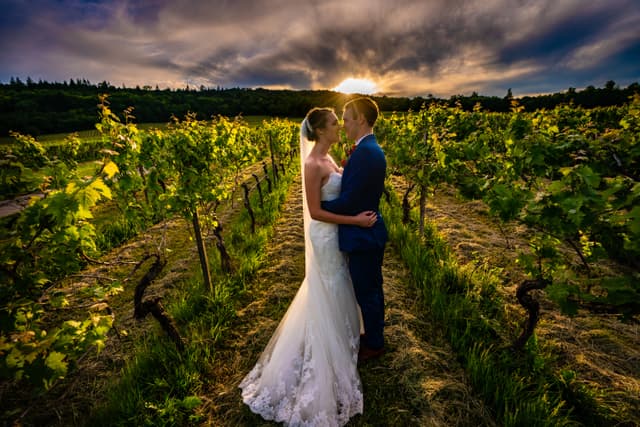 Denbies Wine Estate