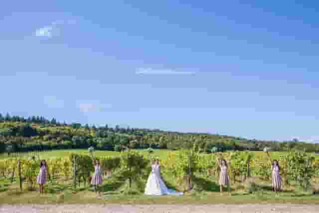 Denbies Wine Estate
