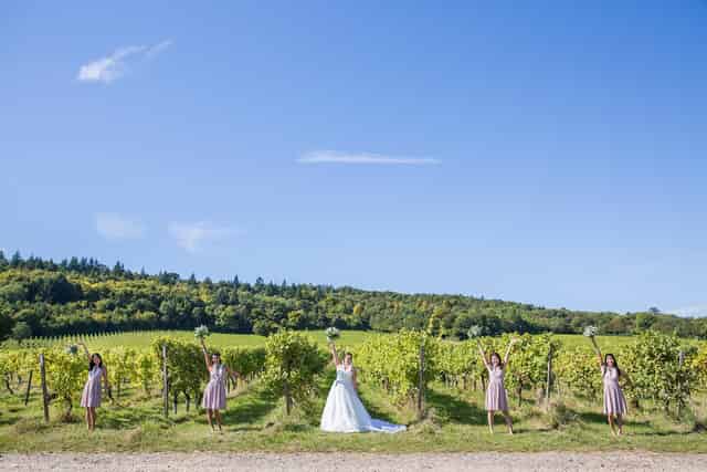 Denbies Wine Estate