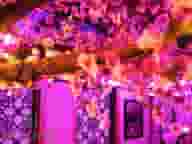 Party Venues