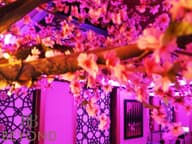Party Venues