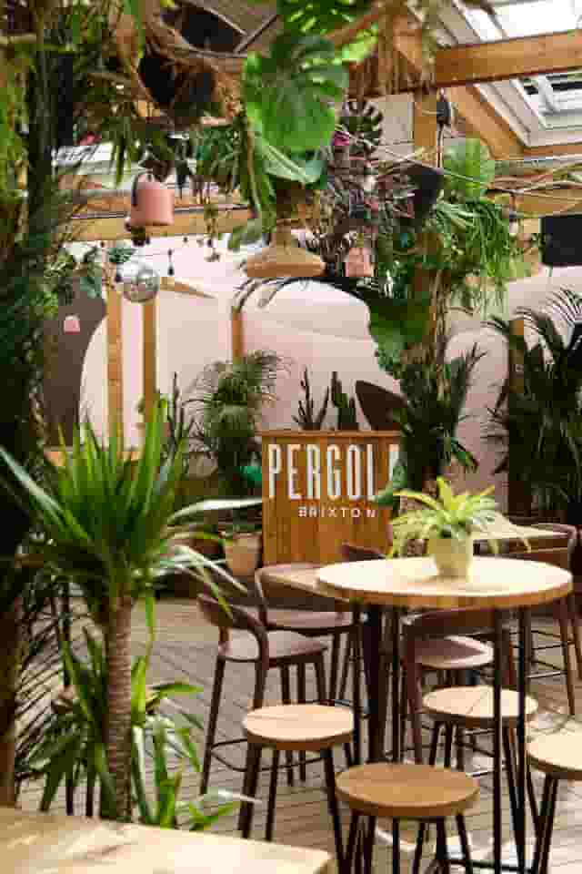 Pergola Brixton