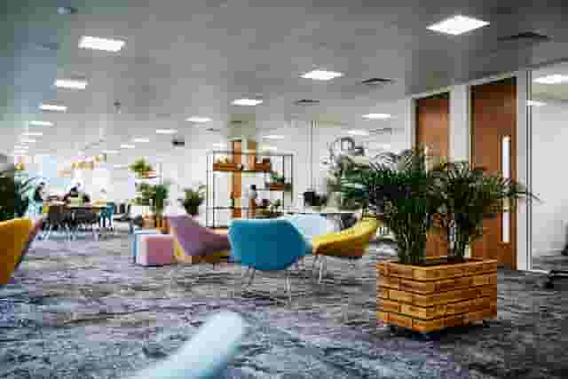 The Curious Lounge