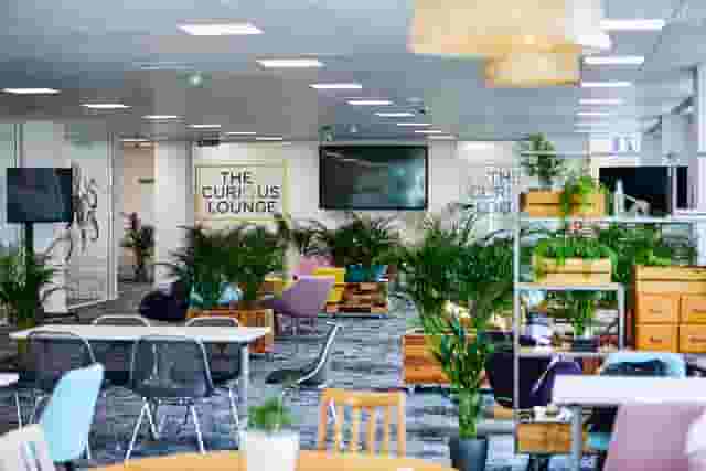 The Curious Lounge