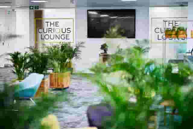The Curious Lounge