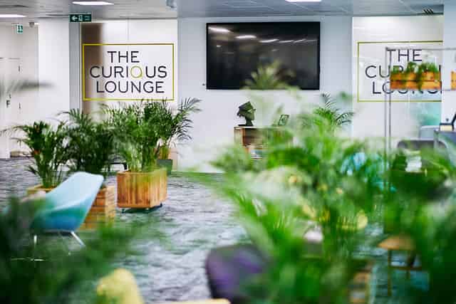 The Curious Lounge