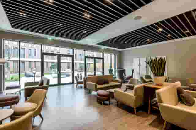 Fry Suite