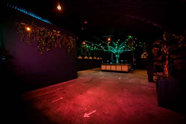 Arch 14( Formerly The Palm Bar)