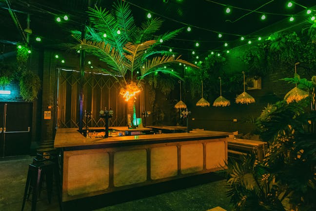 The Palm Bar | Night Tales 