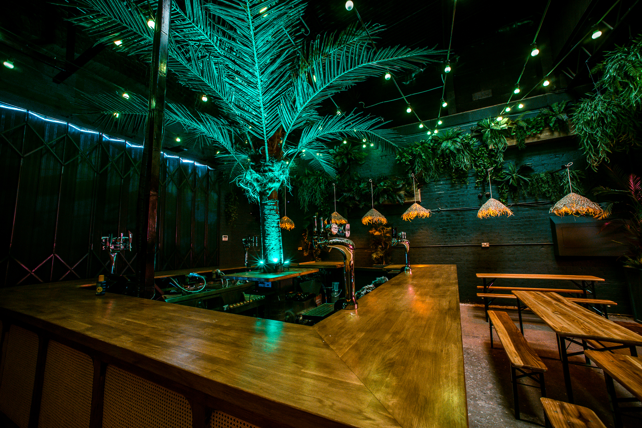 Vibrant Palm Bar at Night Tales, lush greenery, ideal for networking events and parties. - Banner