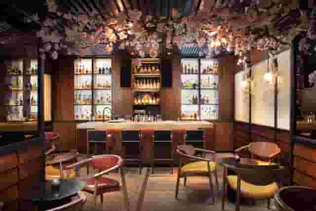The Prince Akatoki London