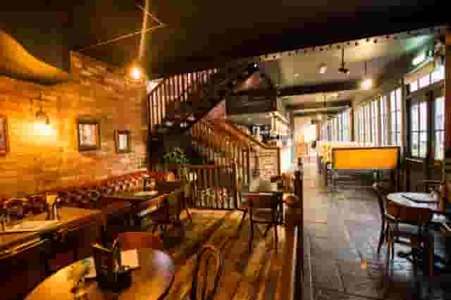 Gin Snug