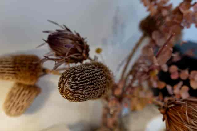 Dried floral arrangements in rustic kitchen decor for events and gatherings.