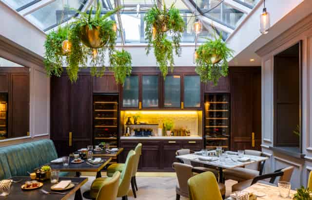 The Curio Lounge
