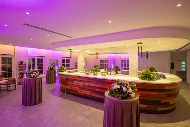 Green House cocktail reception, purple lighting, event space