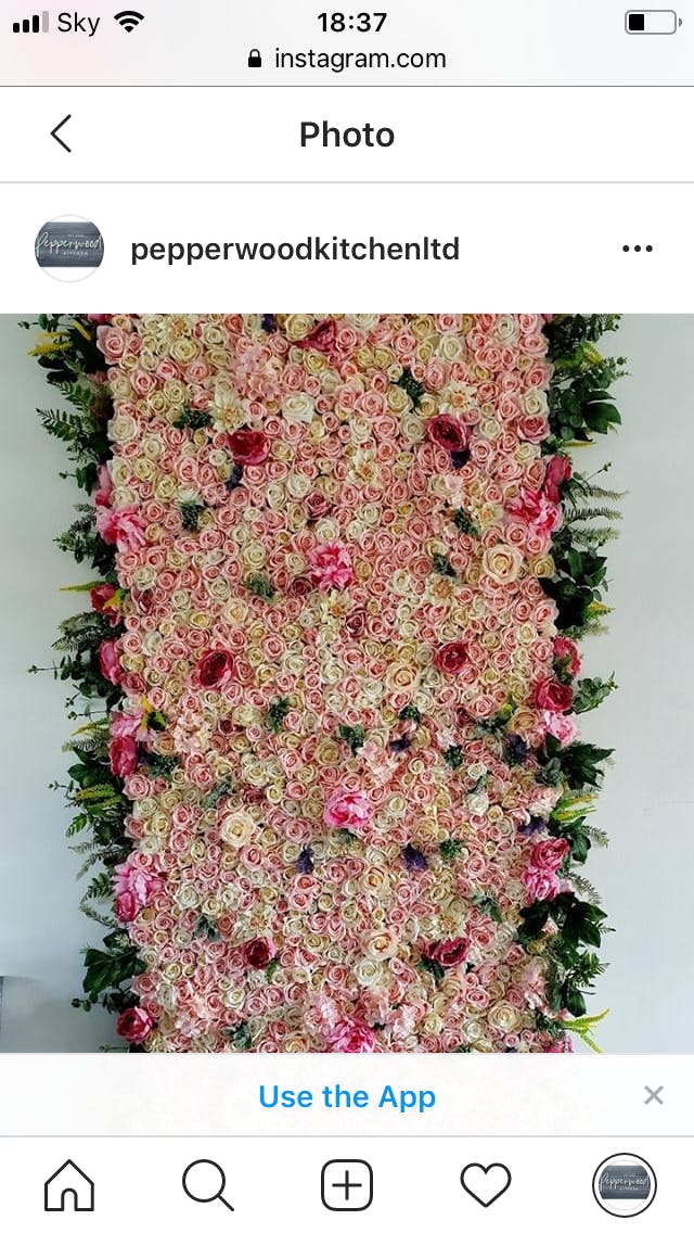 Floral backdrop of pink and cream roses for events at Pepperwood Kitchen.