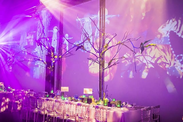Elegant event space with vibrant centerpieces and ambient lighting at Wild Gallery.