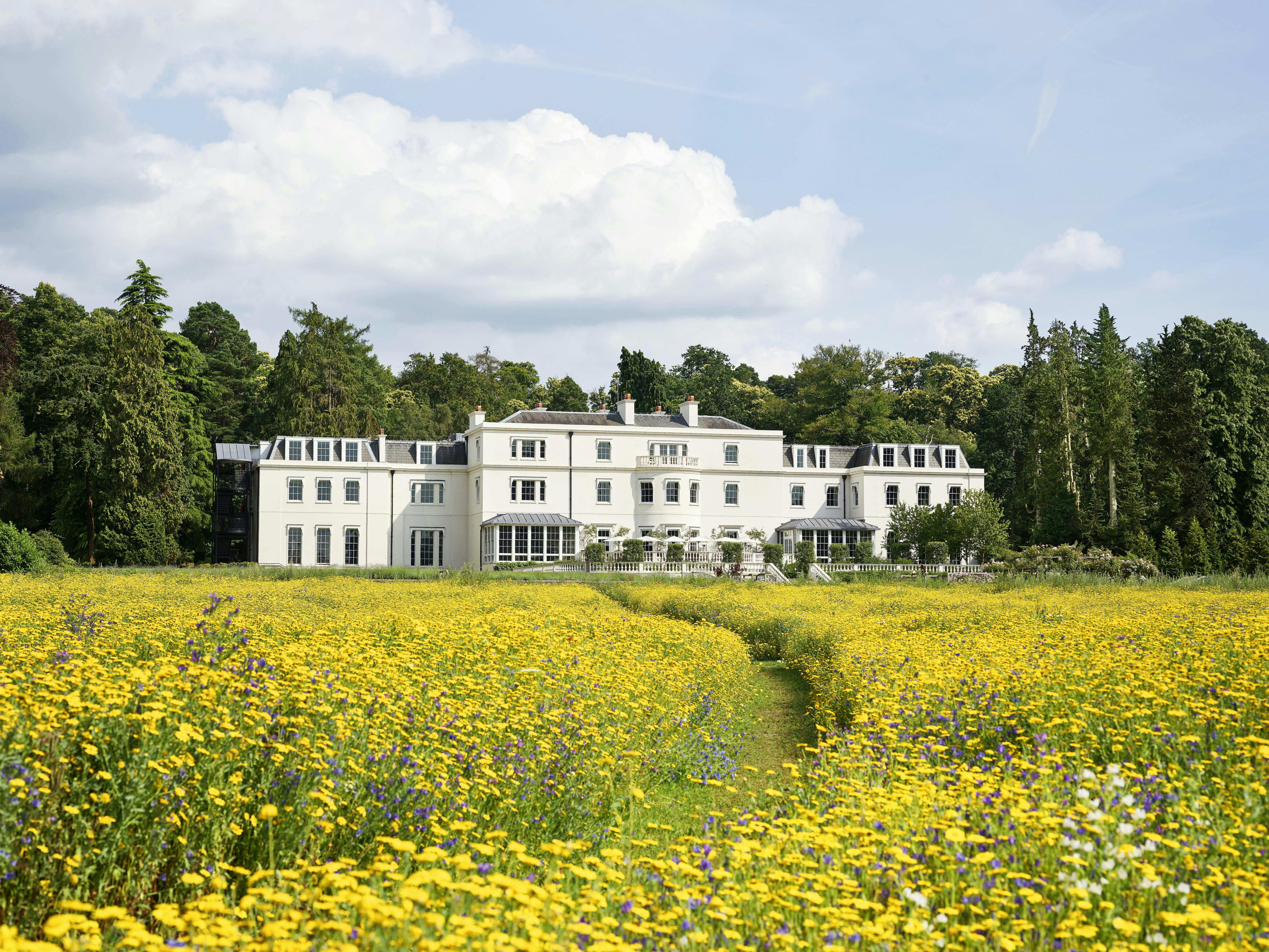 Coworth Park - Oval Room & Garden Room image 1