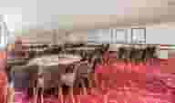 Unique Conference Venues