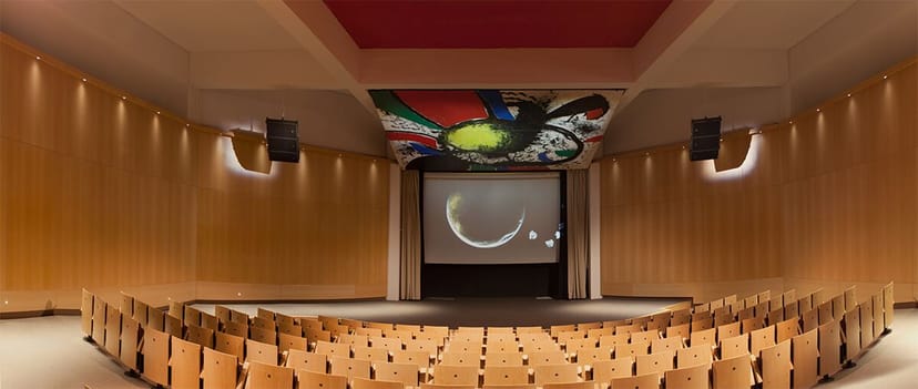 Modern auditorium with tiered seating and large screen for conferences and film screenings.