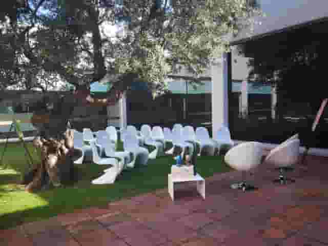 Olive Tree Patio