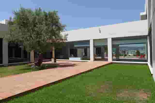 Olive Tree Patio