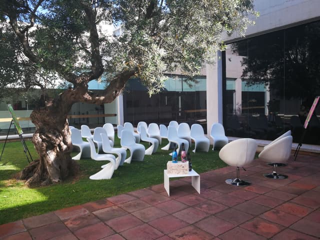 Olive Tree Patio 