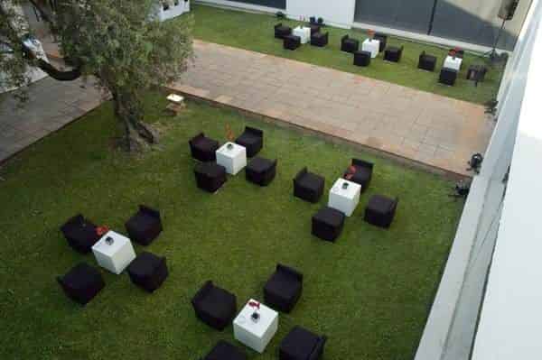 Olive Tree Patio