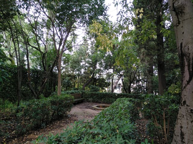 Cypress Garden and Workshop Space