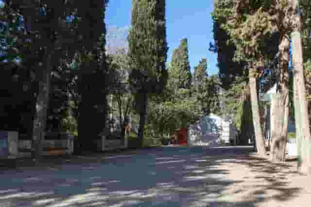 Cypress Garden and Workshop Space