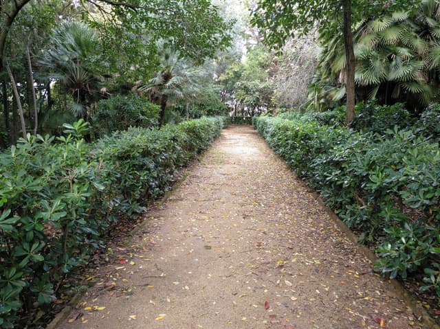 Cypress Garden and Workshop Space