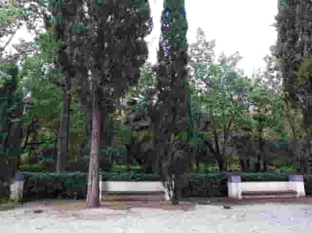 Cypress Garden and Workshop Space