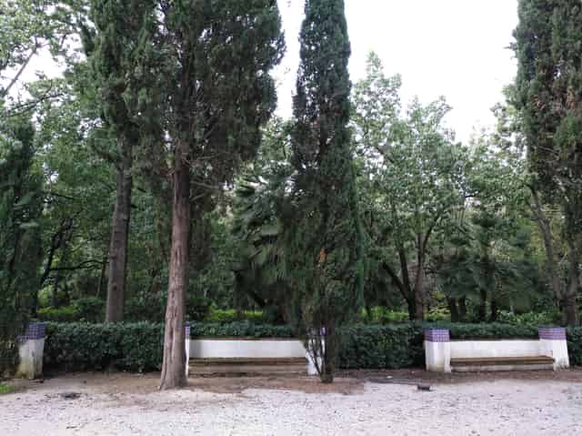 Cypress Garden and Workshop Space