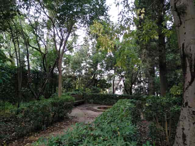 Cypress Garden at Fundació Joan Miró, ideal for outdoor gatherings and team-building events.