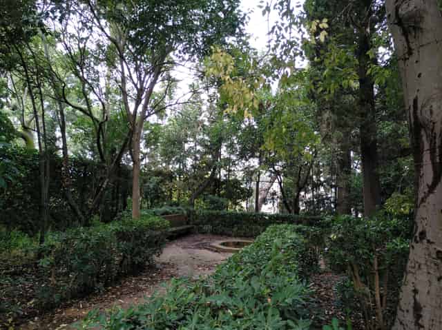 Cypress Garden and Workshop Space