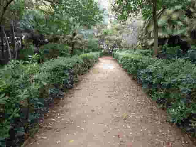 Cypress Garden and Workshop Space