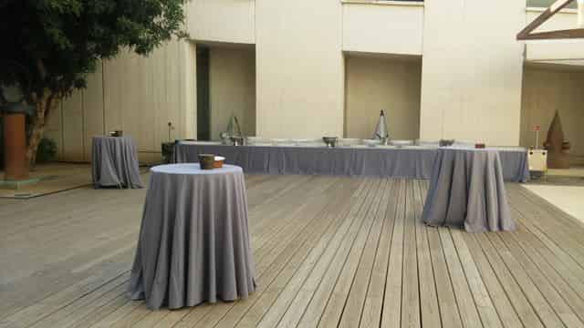 Carob Tree Patio 