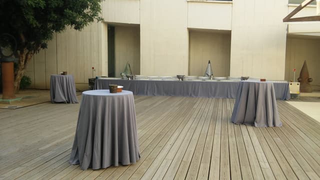 Carob Tree Patio 