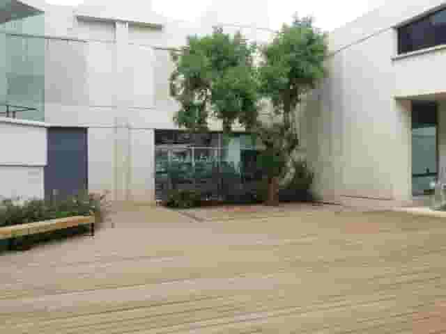 Carob Tree Patio