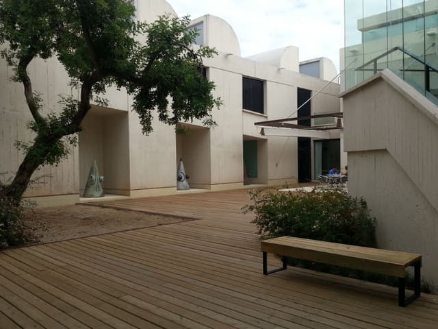 Carob Tree Patio 