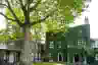 Therapy Rooms