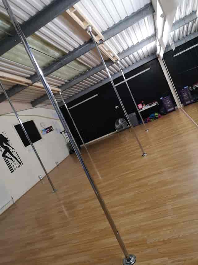 Dance studio with polished wooden floor and vertical poles for fitness classes and events.