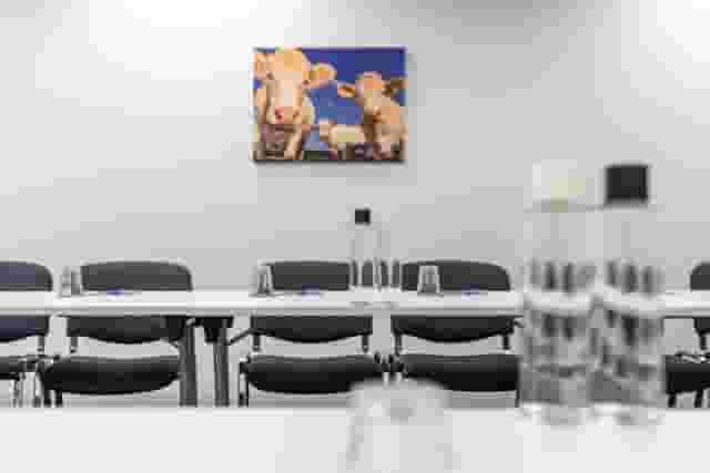 Meeting Room 3