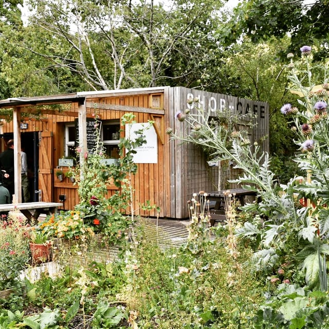 Rustic café venue with wooden structure, ideal for outdoor events and team-building.