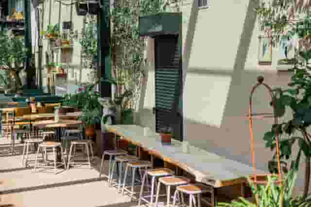 The Hawk's Nest