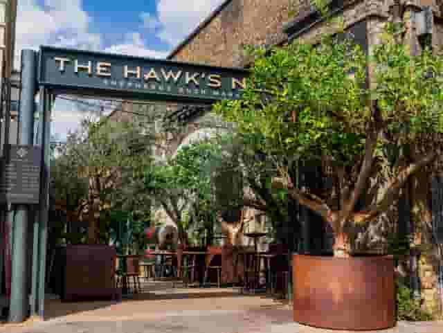 The Hawk's Nest