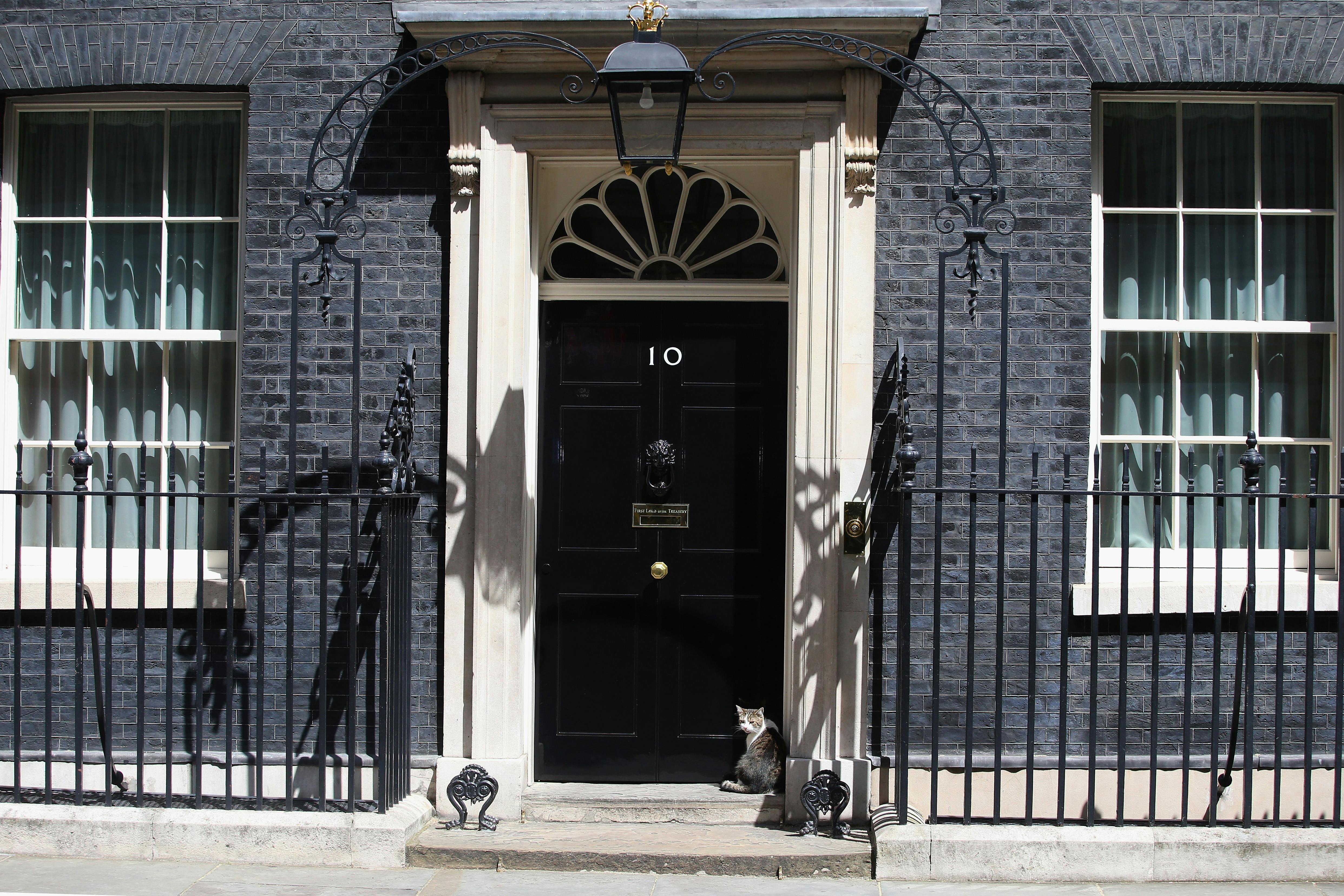 Filming at RSA House with iconic entrance and charming cat for diplomatic events.