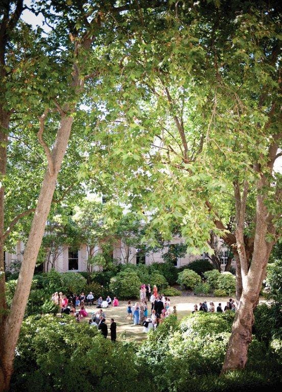 Lush outdoor space at Carlton House Terrace for summer parties and networking events.