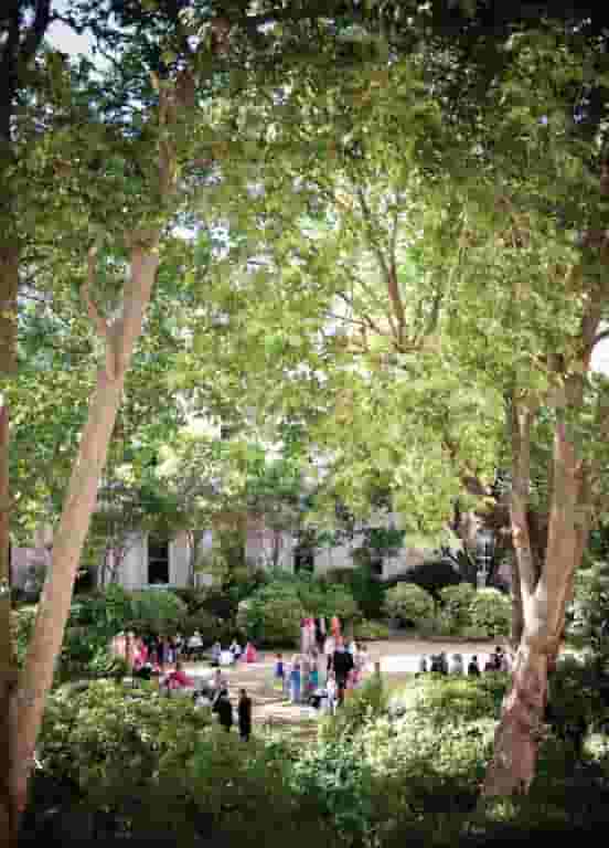 Summer Parties in Westminster